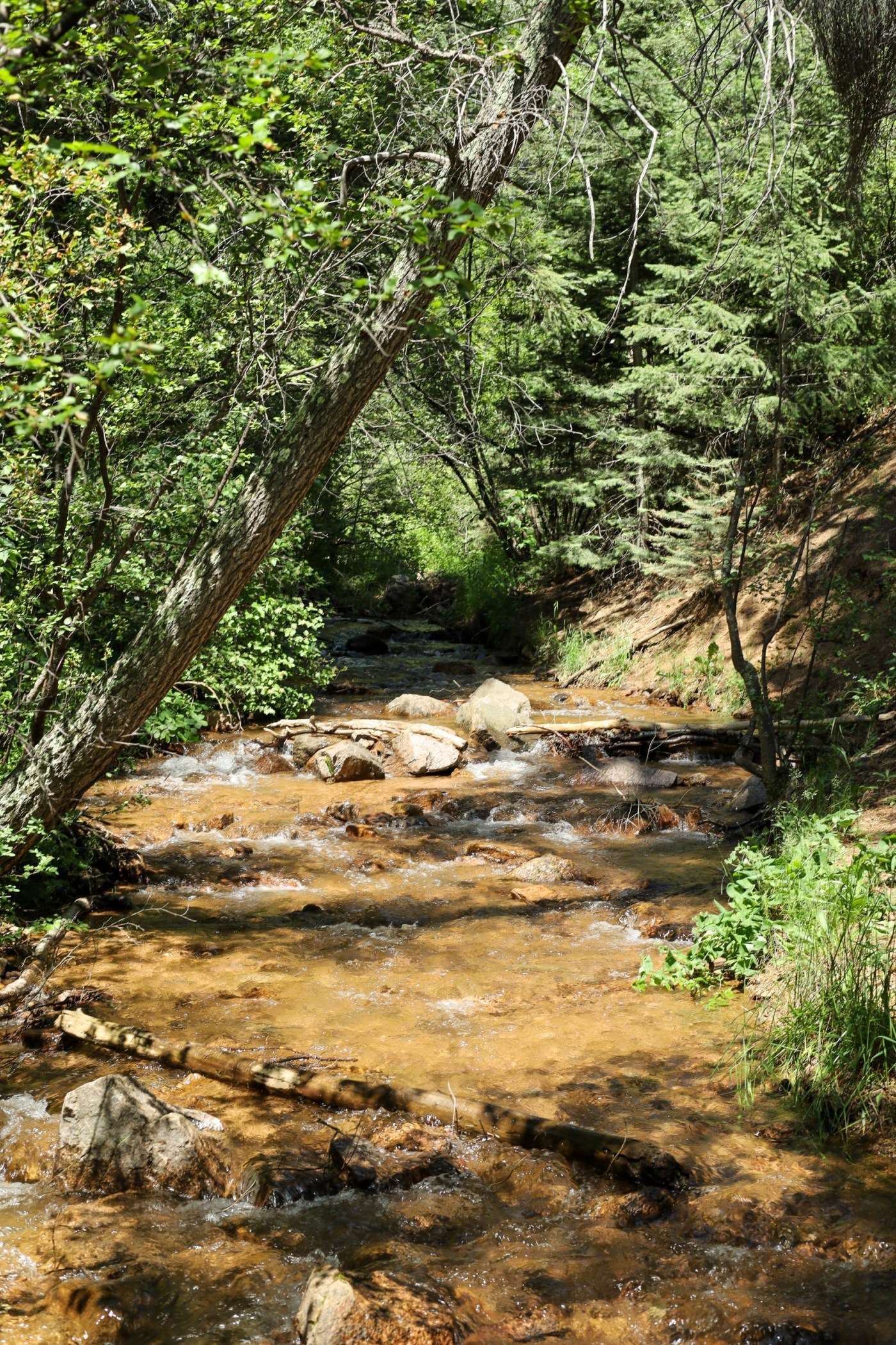 North Cheyenne Creek