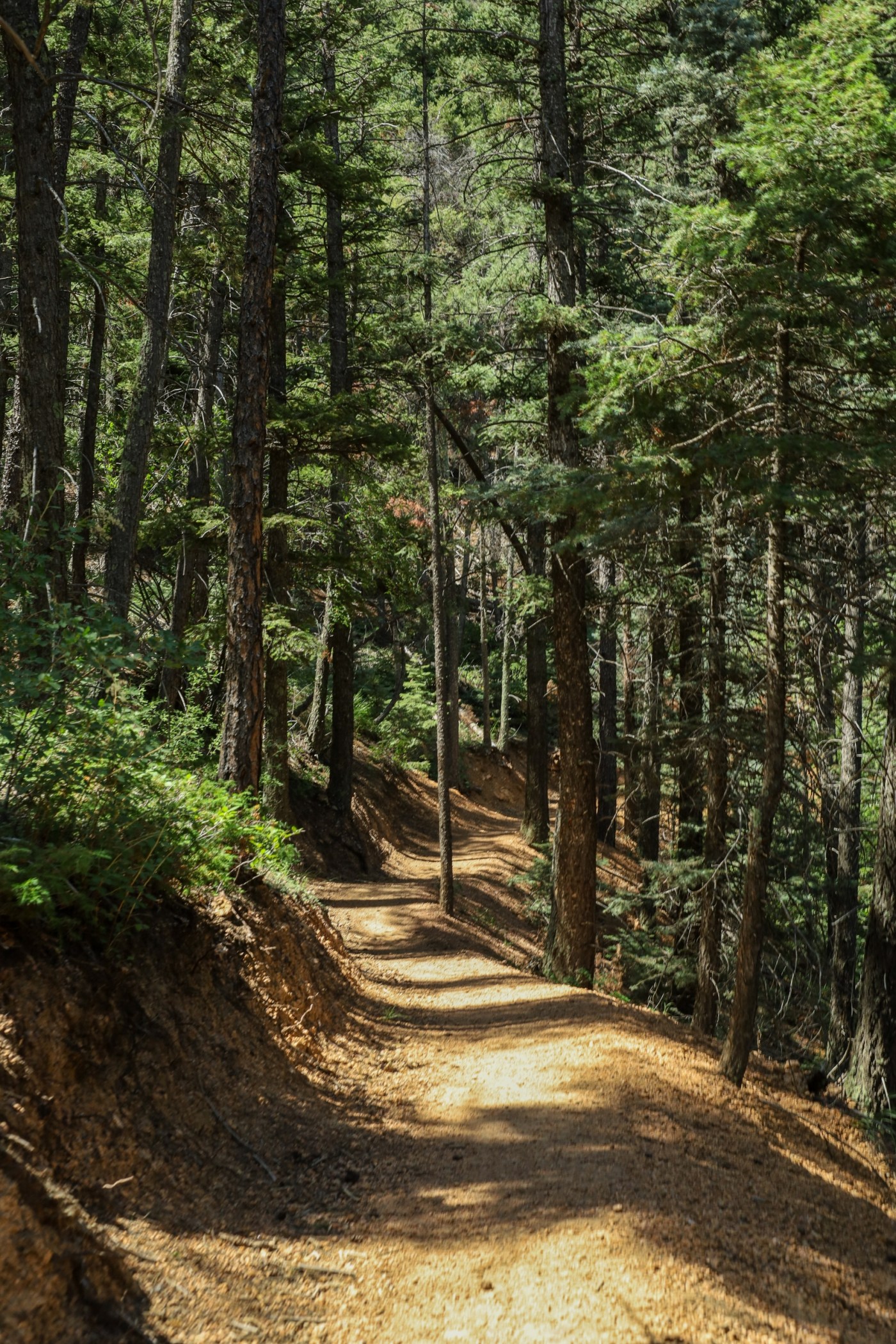 St. Mary's Falls trail